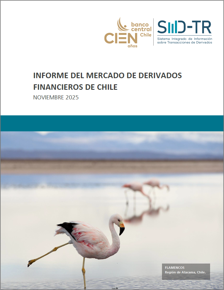 Imagen informe financiero