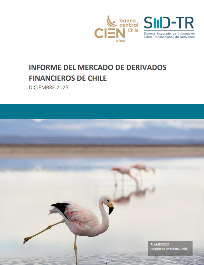 Imagen informe financiero