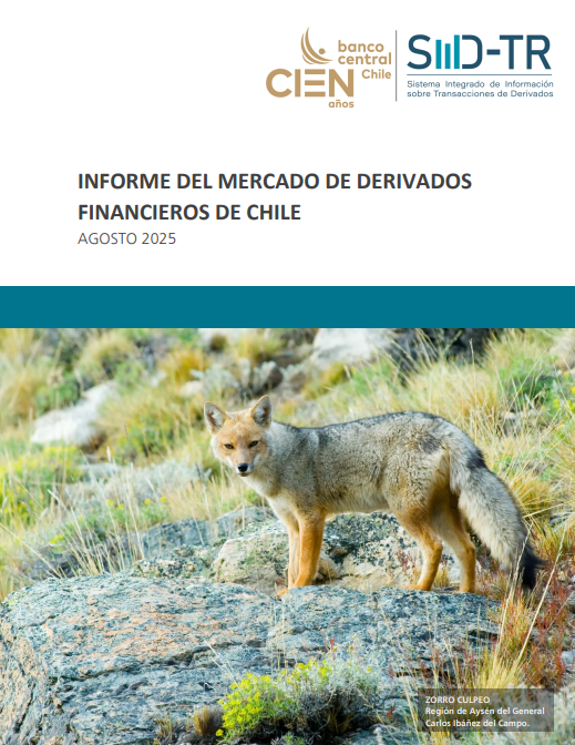 Imagen informe financiero