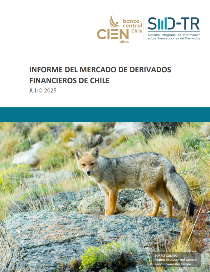 Imagen informe financiero