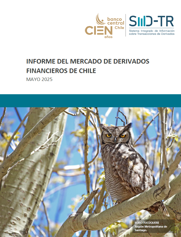 Imagen informe financiero