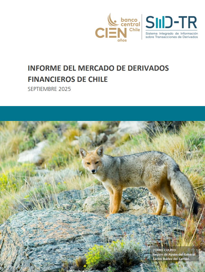 Imagen informe financiero