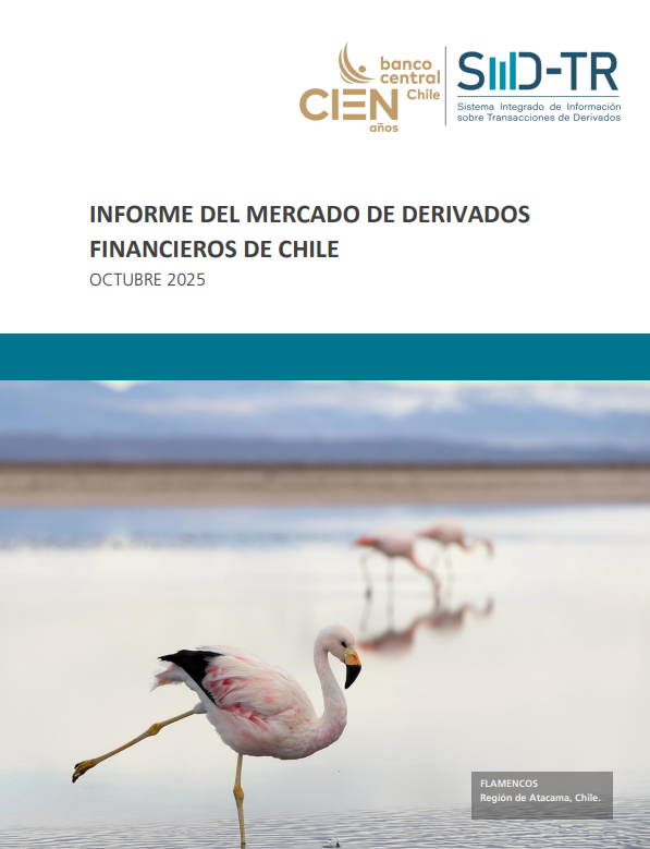 Imagen informe financiero