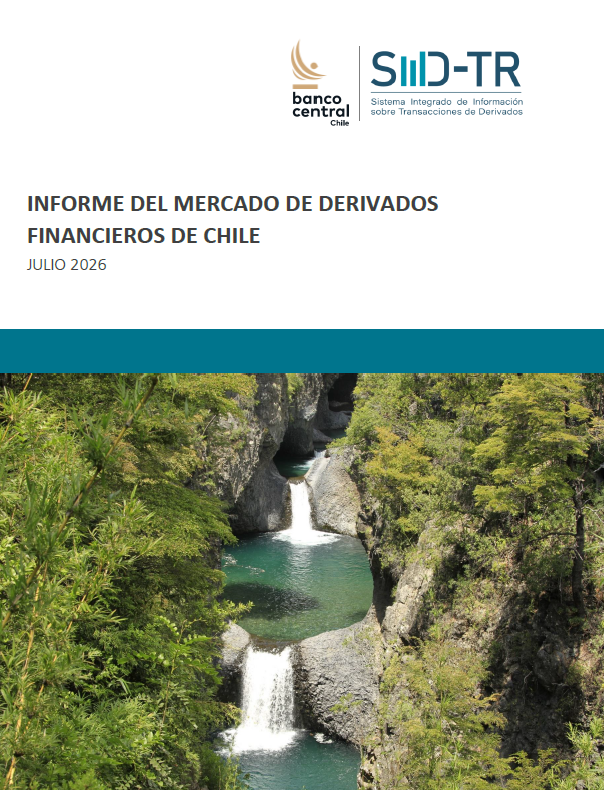 Imagen informe financiero