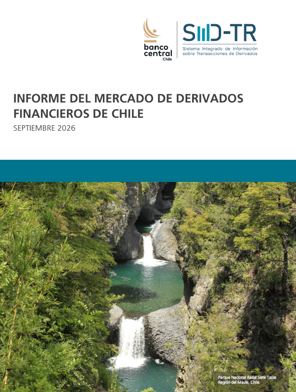 Imagen informe financiero